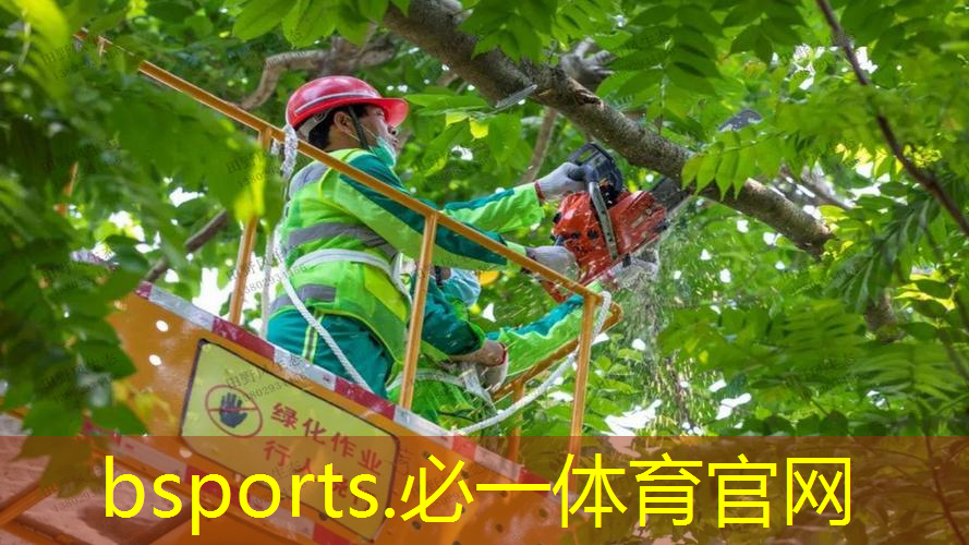 有尼克斯专业网球拍嘛