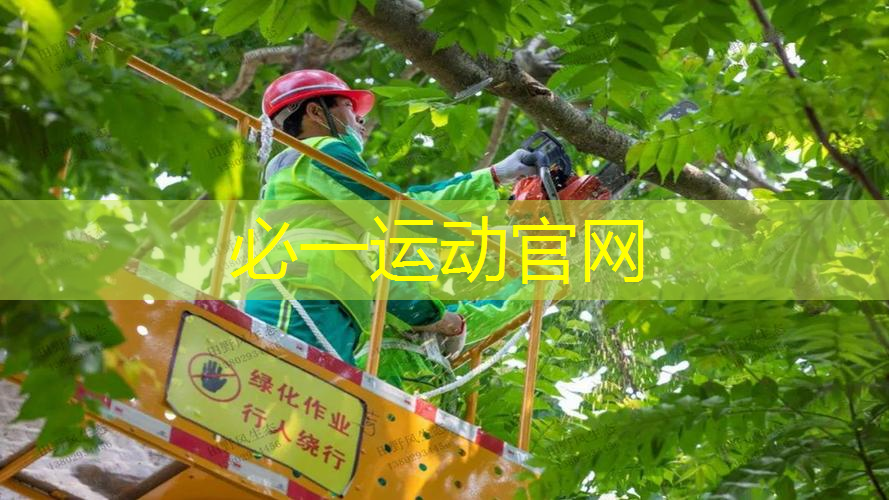 网球拍面的网是什么材质
