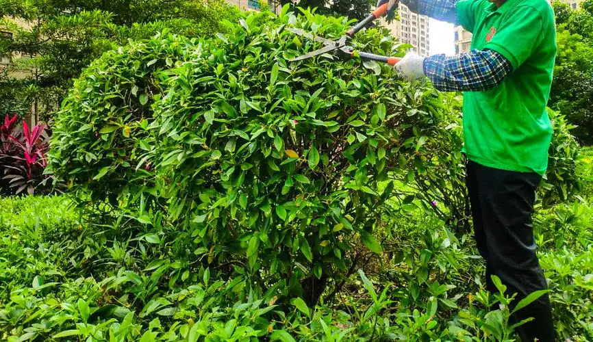 网球拍线断了之后怎么剪