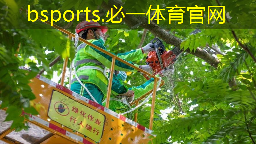 网球拍穿线竖线图解法