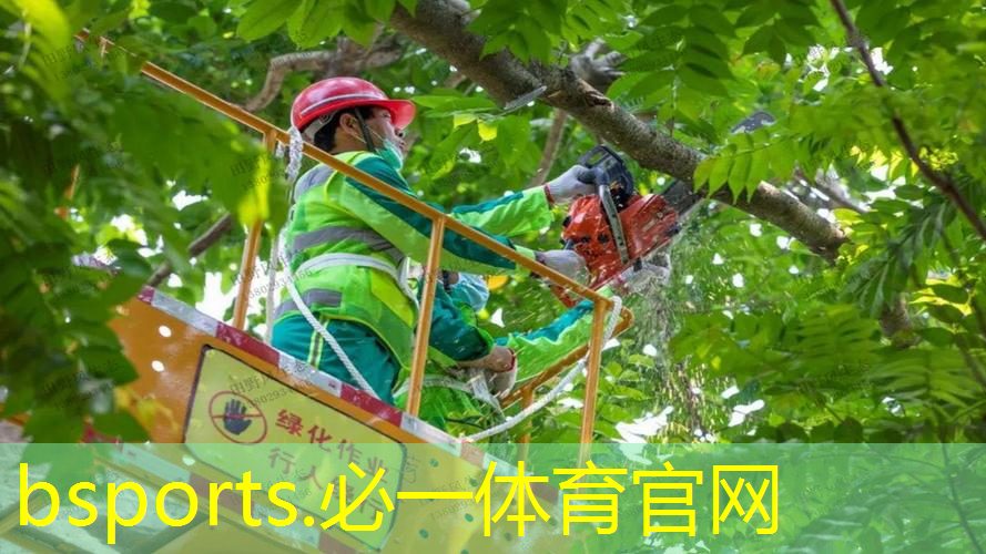 乒乓球台内挑打上旋